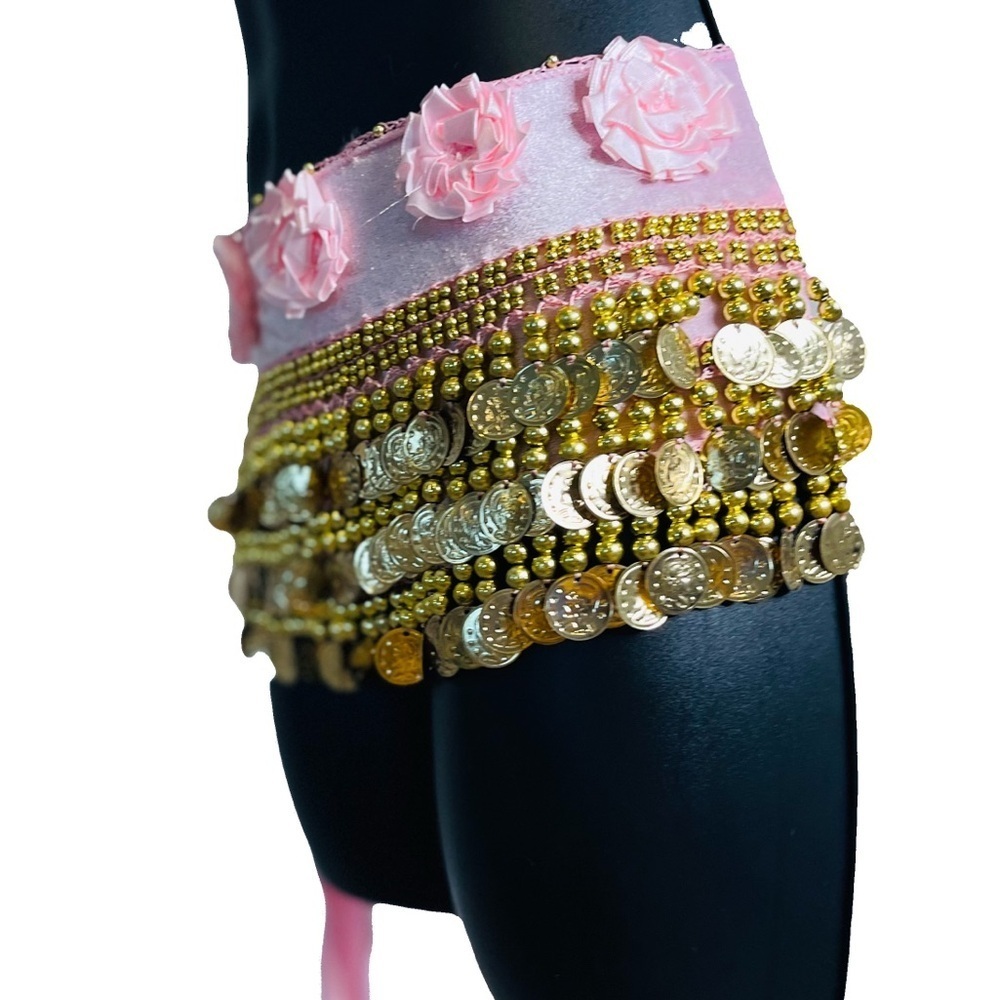 Belly Dance Skirt with Gold Coins and Rose Petals - Picture 3 of 8